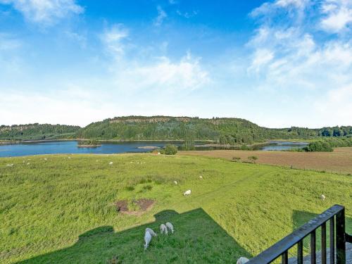 Fintry House | Kestrel Cottage - 27937