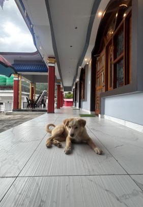 Dugalbitta House | Khushi homestay