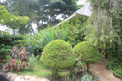 Kibale Bed & Breakfast | Kibale Eco-Home