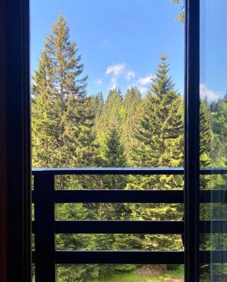 Pohorje House | KOPE, Charming Challet Gogy