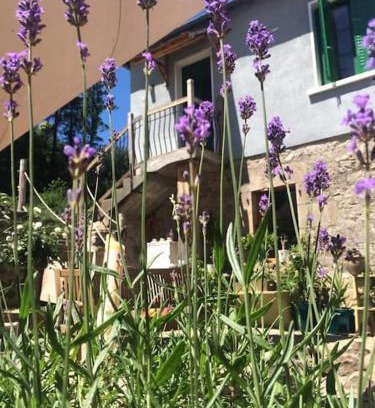 L'Eglise-aux-Bois Apartment | L Ancien Four à Pain