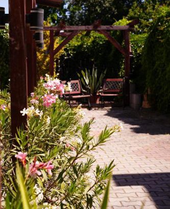 Sturovo Apartment | L-House Štúrovo