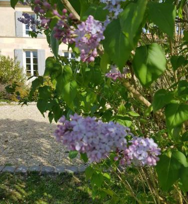 Soussans House | La bastide de Margaux