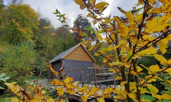 La Roche-en-Ardenne Cabin | La cabane de Léon - Hébergement insolite