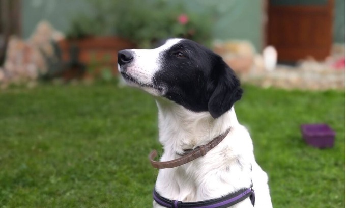 Piriapolis Cabin | La Casa del Hornero, Tiny House Sostenible Para 2 Personas y Apta Para Mascota