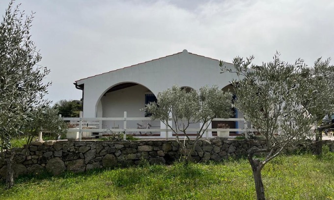 Berchidda House | La casa nell'oliveto