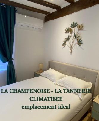 Old Town Apartment | La Champenoise La Tannerie