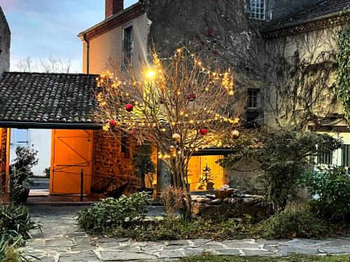 Perrier Hotel | la Cour Carrée