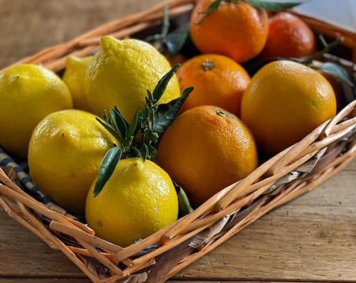 Bogliaco Apartment | La dolce vita al lago