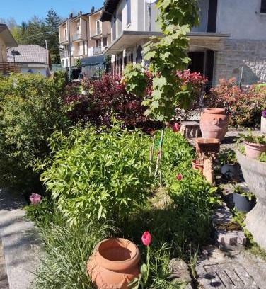 Lizzano in Belvedere Apartment | La gazza allegra