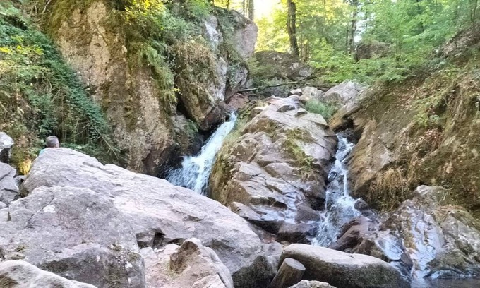 Saint-Michel-sur-Meurthe Bed & Breakfast | La Maison VJM - Table Végétarienne