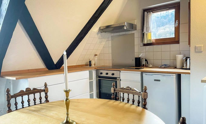 Riquewihr Apartment | La Maison Bleue - Historic house in the heart of Riquewihr. "La Chouette" 3 guest flat