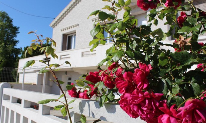 Marges Bed & Breakfast | La Maison Joséphine