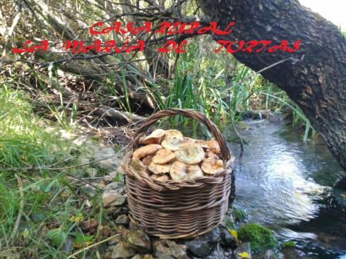 Paterna del Madera House | La María de Tortas