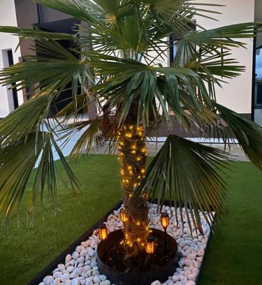 La Lastrilla House | La Palmera del Sotillo