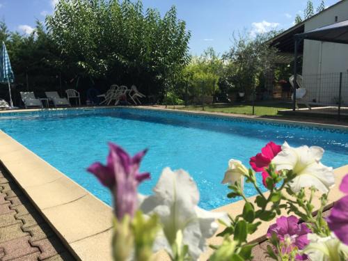 Ales House | La Pichioline