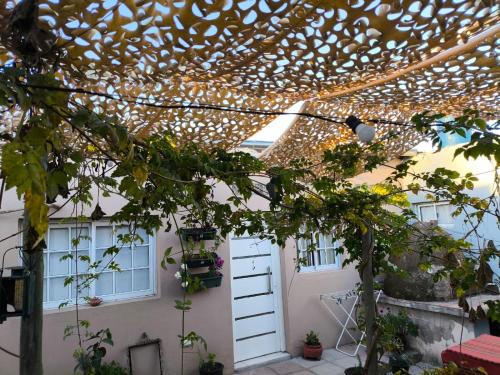 San Pedro Apartment | La Violeta Due