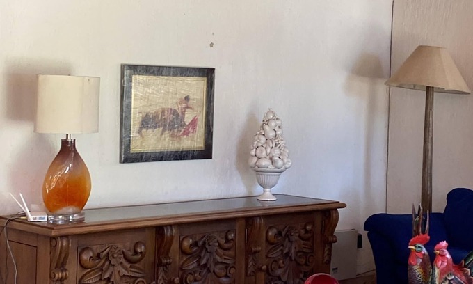 San Juan Cosala House | Lake front 3 bedroom house with a very big garden.