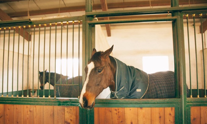 Cellarengo Villa | lambda villa