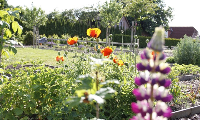 Brietlingen Hotel | Landhotel Franck