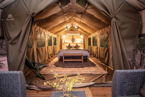 Kruger National Park Cabin | Langa Langa Safari Camp - Inc 2 Kruger Safaris Daily