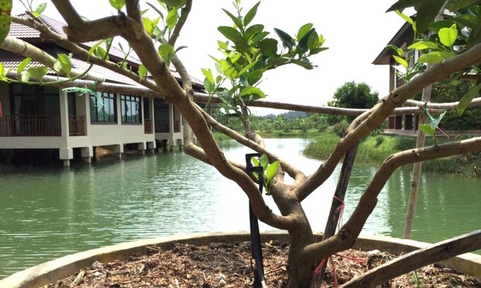 Ban Na Faek House | Lantala Residence