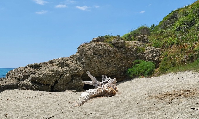 Bravone Apartment | Large sea view apartment