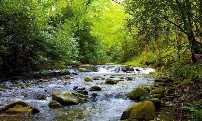 Rocky Grove Cabin | Laurelwood Falls Cabin-A Romantic Creek Side Retreat with Waterfalls