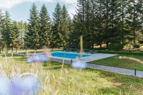 Chmielno Apartment | Leśny Apartament - Shuuumi Las