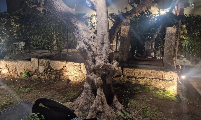 Syracuse House | Le Case Al Quadrato