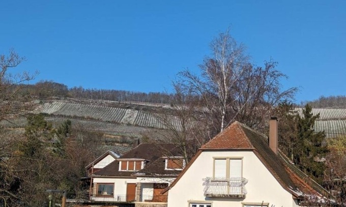 Marlenheim Apartment | Le Cosy (20' Strasbourg by bus)