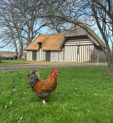 Sainte-Opportune-la-Mare Bed & Breakfast | Le Domaine Caribou