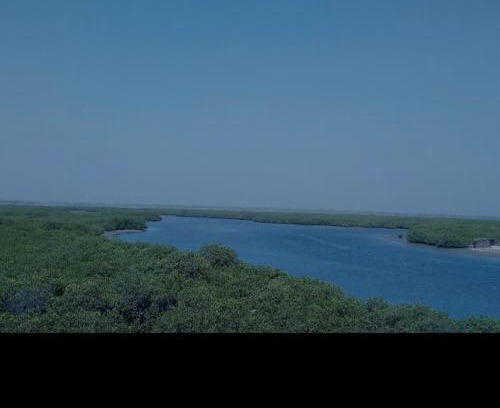 Joal-Fadiout Hotel | Le Finio