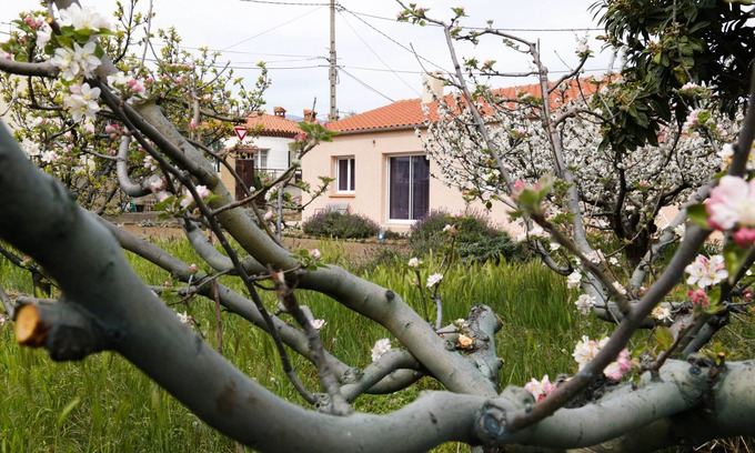 Prades House | Le Pavillon: Holidays and Hikes, Thermal Cures, Heritage and Festivals