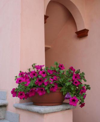 Plan D'introd Bed & Breakfast | Le Petit Coin De Maison Chante Lune