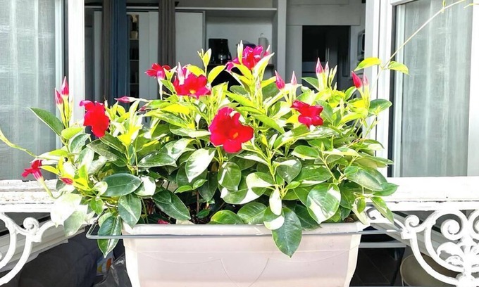 Bourgogne Apartment | Le Petit Orléanais, Entre Histoire et Nature