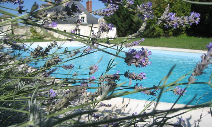 Noyant-la-Plaine Cottage | Le PetitPavillon in the Loire Valley