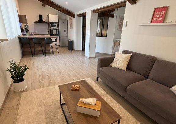 Macon Apartment | Le ST PIERRE, joli T2 entièrement rénové en plein coeur du centre ville