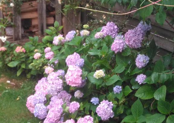 Moeggers Apartment | „Lebenslust“