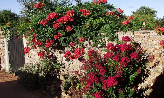 Saint-Germain-sur-Moine House | Les Belles Époques B&B