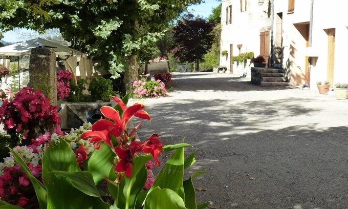 Seranon House | Les Erables aux Baux