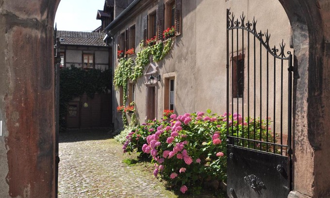 Riquewihr Apartment | Les Hortensias