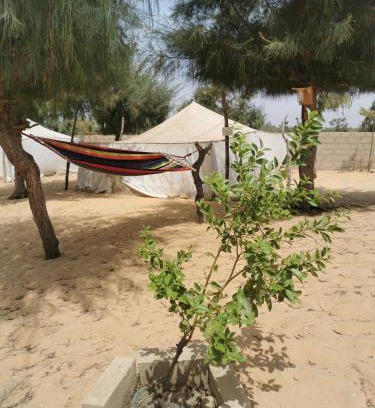 Lompoul Other | Les jardins fleuris de lompoul sur mer