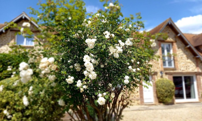 Le Vieil-Evreux House | Les Maisons du Théâtre Romain - 4 Gîtes - 10 Chambres