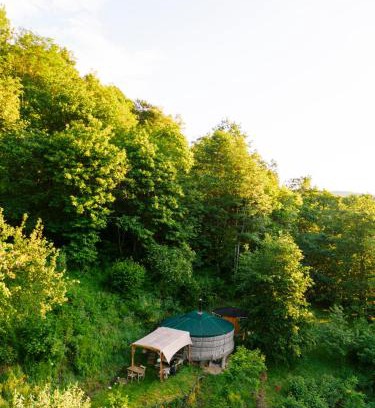 Augirein Other | Les songes du chêne