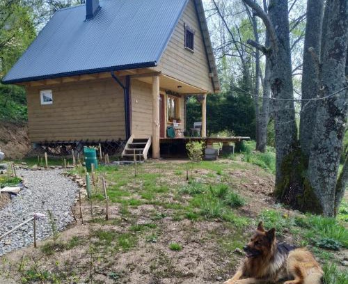 Dwernik Ski Chalet | LESZCZYNOWY STOK