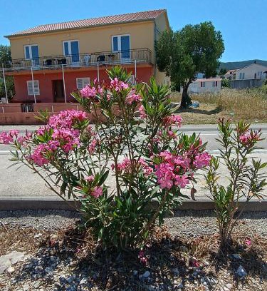 Drace Apartment | Levanat