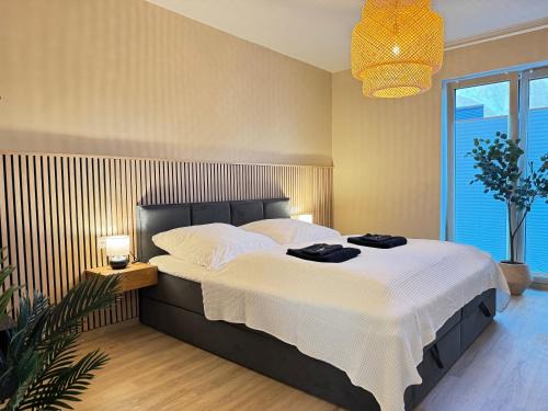 Braunschweig City Center Apartment | LIGHTPLACE Design Boxspring Balkon 2 Smart TV Innenstadt