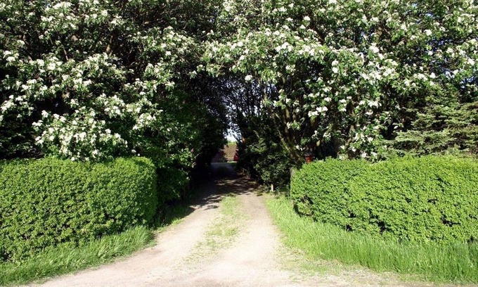 Lund Bed & Breakfast | Lilla Huset på slätten B&B