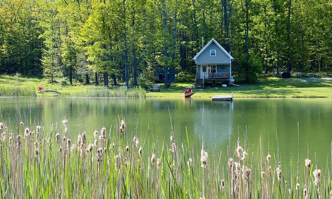 Horseheads Cabin | Little Cabin in the Big Woods